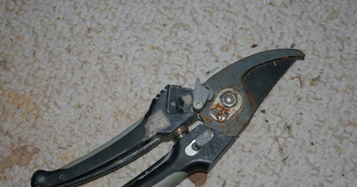 A Better Life How to Sharpen Loppers and HandPruners