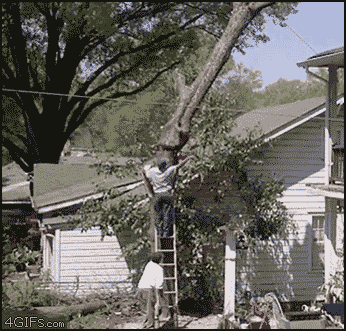 tree_cut_fail.gif