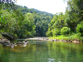 RIVER ADVENTURE