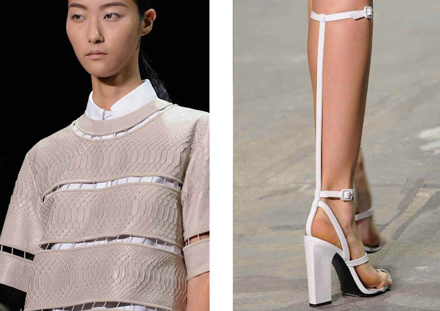 Alexander-Wang-Spring-2013_3.jpg