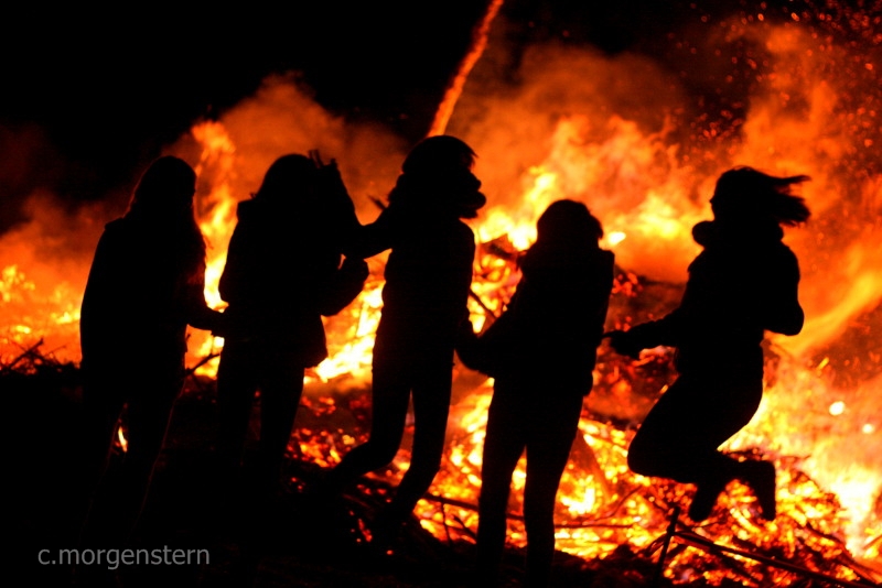 Das Neuste Aus Wippingen Aktuelle Informationen