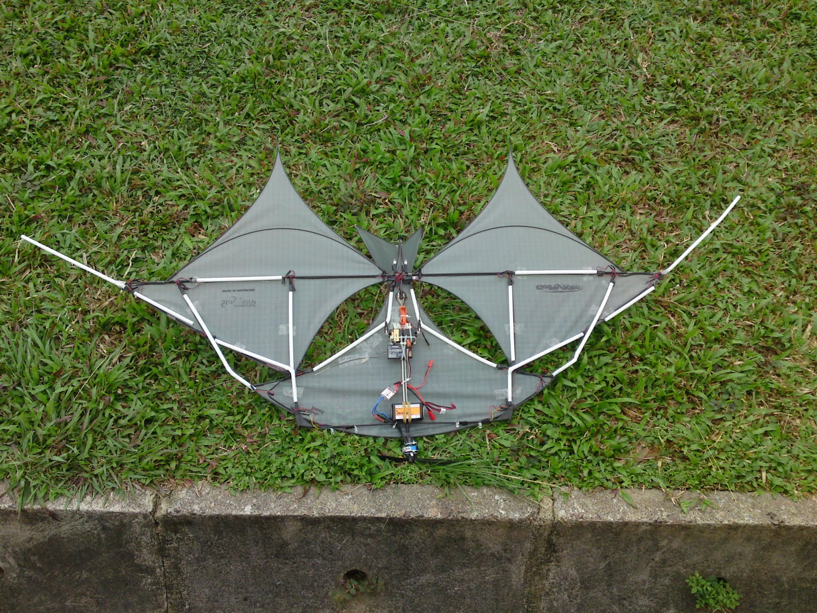 Ahmedabad Kite Festival India RC Kite Remote Kites Ahmedabad India