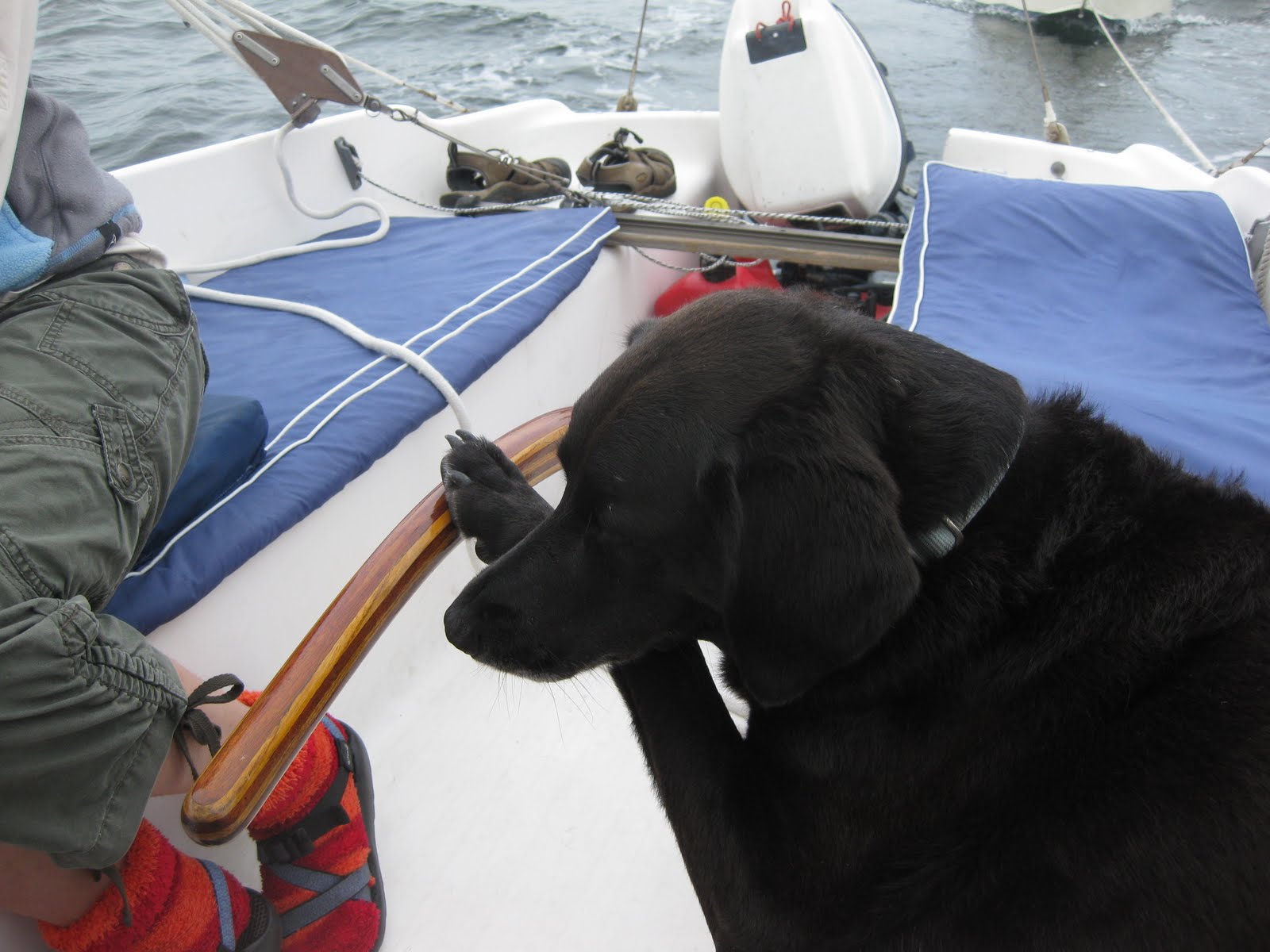 Sailing on a Shoestring