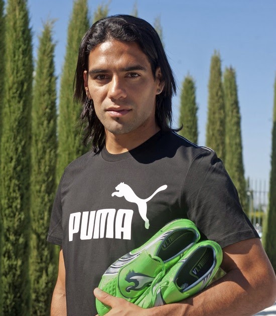 falcao puma