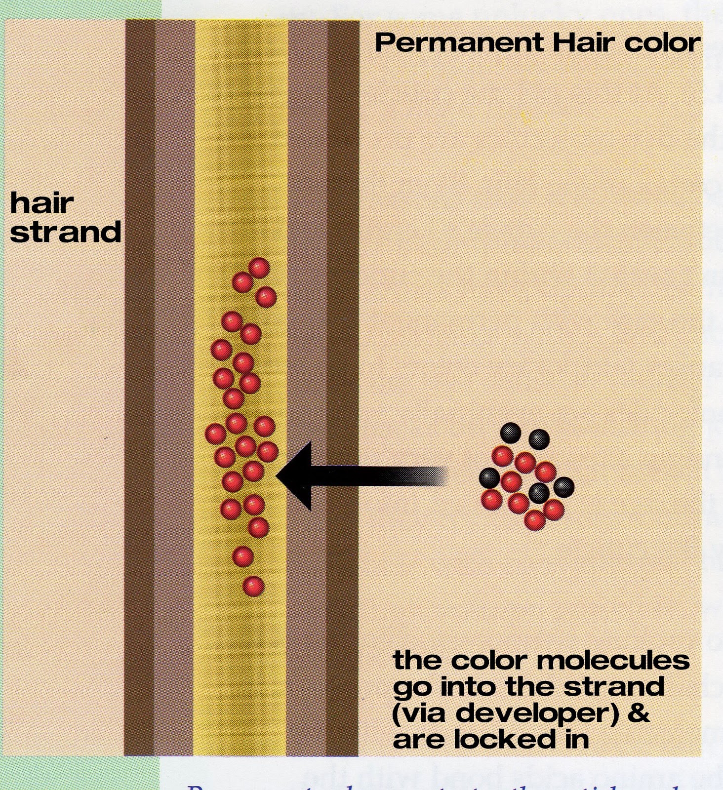 How Hair Coloring & Blonding Works Killerstrands Hair Clinic