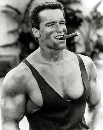 arnold schwarzenegger 2011 photos. arnold schwarzenegger 2011