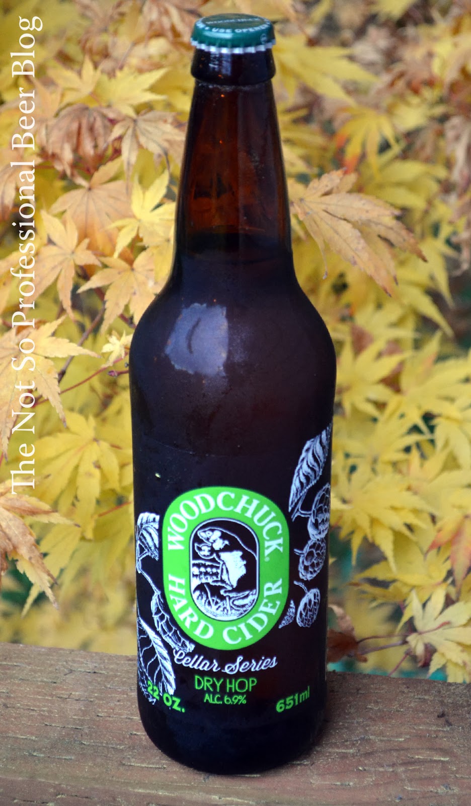 The Not So Professional Beer Blog Review Cellar Series Dry Hop Cider