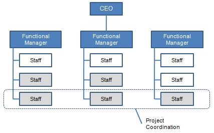 what is a hybrid matrix organizational structure