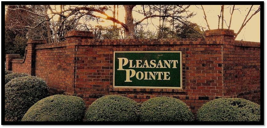 The Pleasant Pointe Patriot
