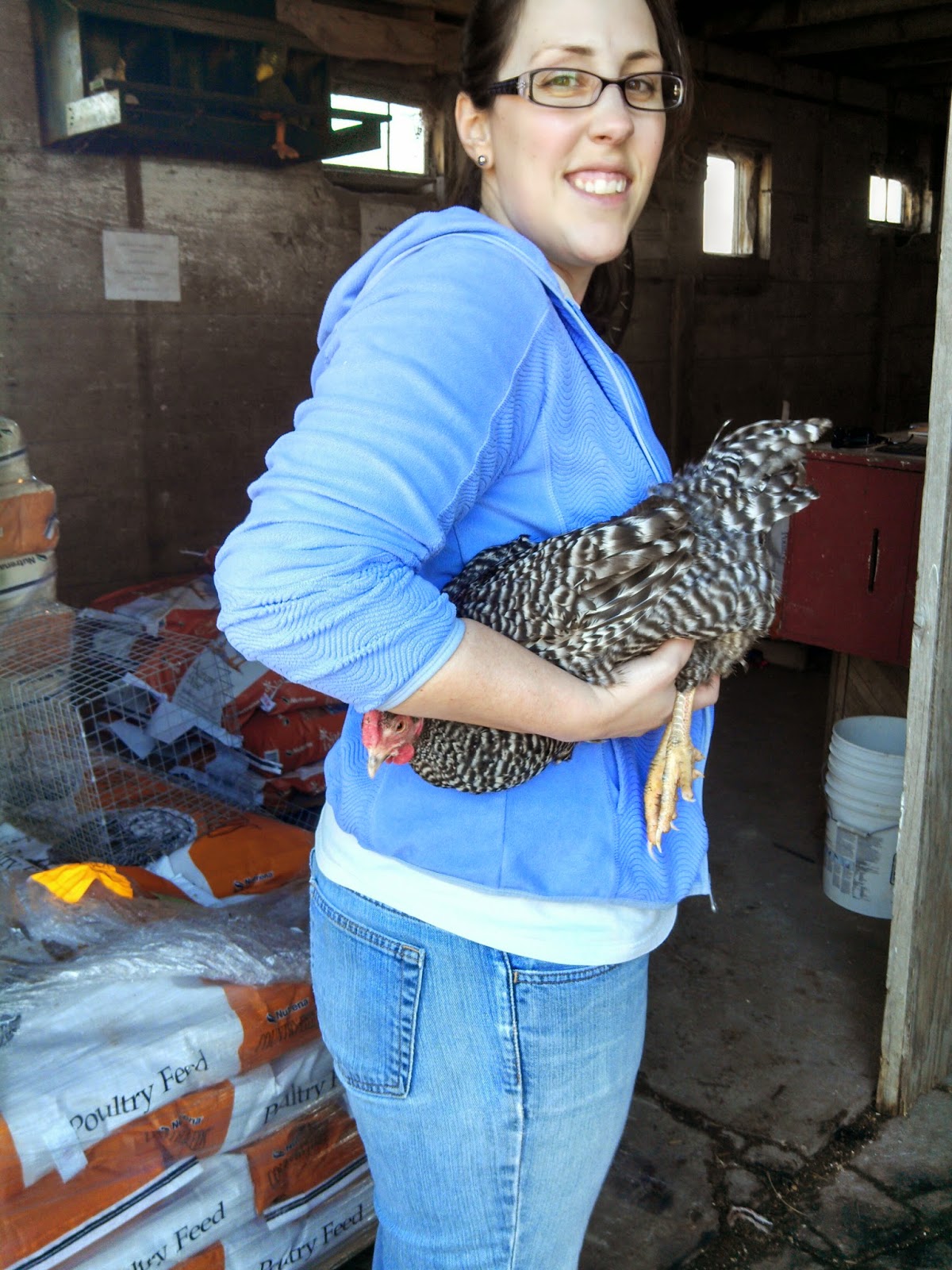 Handling Chickens While Pregnant at Jesse Wilson blog