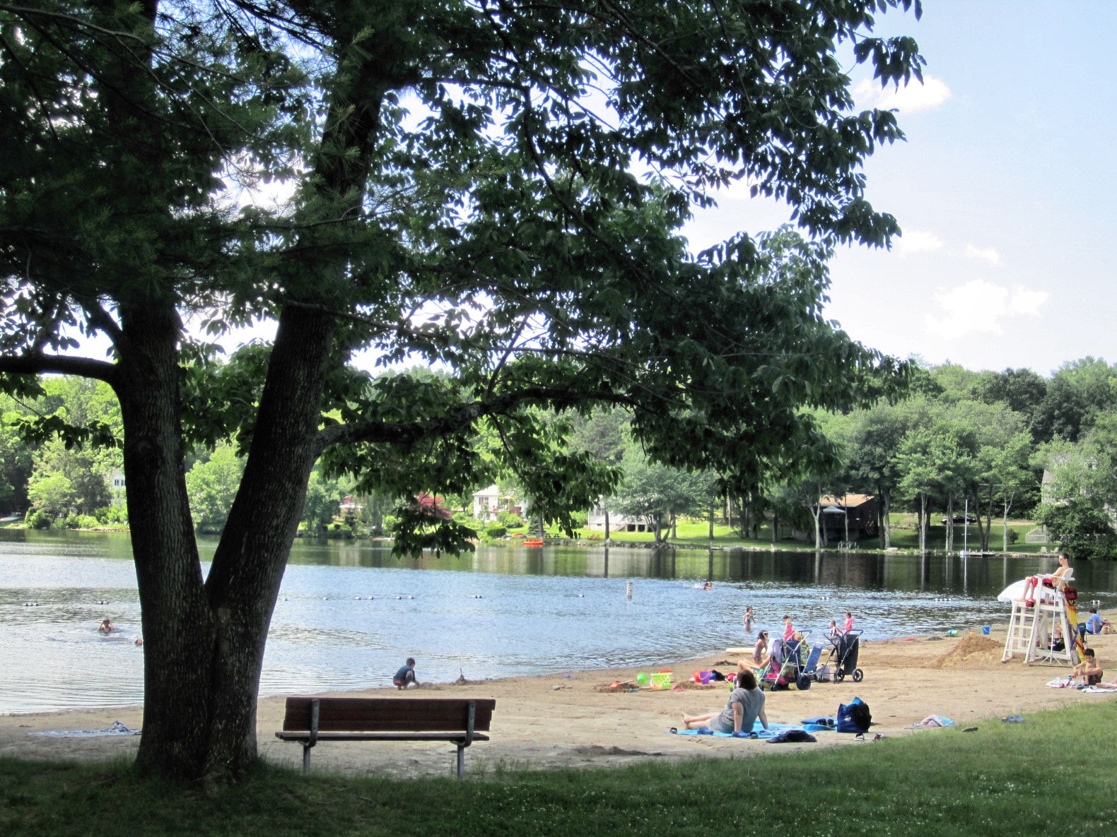 Terramuggus, Connecticut Alchetron, the free social encyclopedia