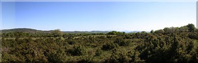 Panorámica desde la cima-2011