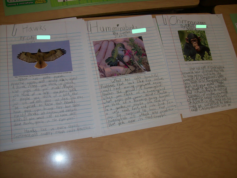 Short paragraph on save wildlife image