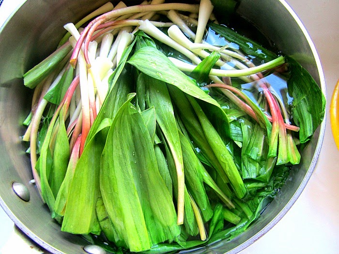 Ramp Butter and Friends