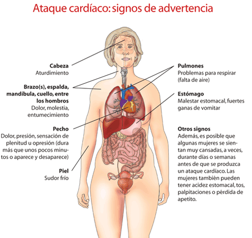 El dolor en la espalda al embarazo cuando duermo
