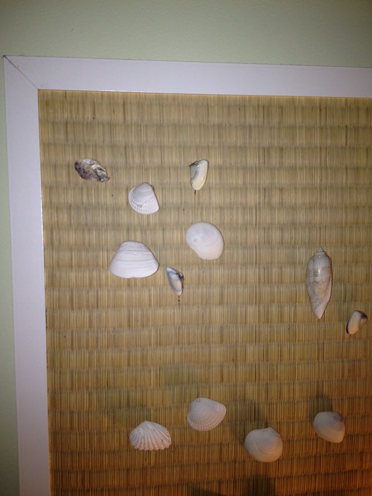 CasaLupoli Decorating with Sea Shells