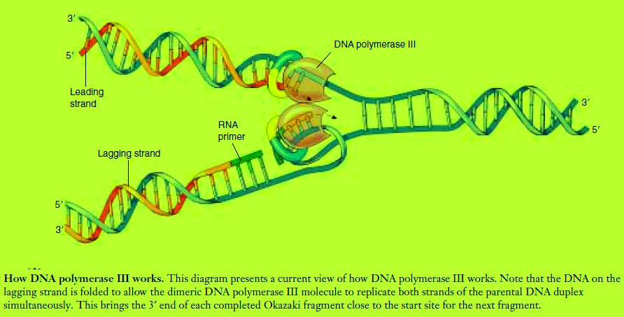 advanced mathematical research author md tauseef ibrahim abraham dna how it works