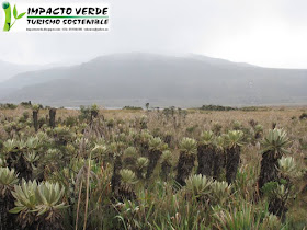 PARQUE NACIONAL NATURAL PURACE