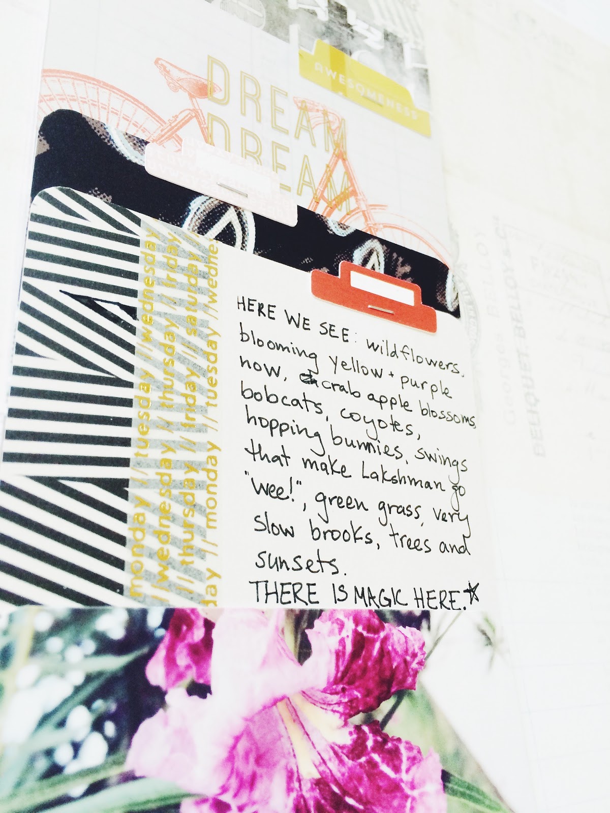 Rainbow Scrapbooks Cocoa Daisy December Reveal Desktop Kit and