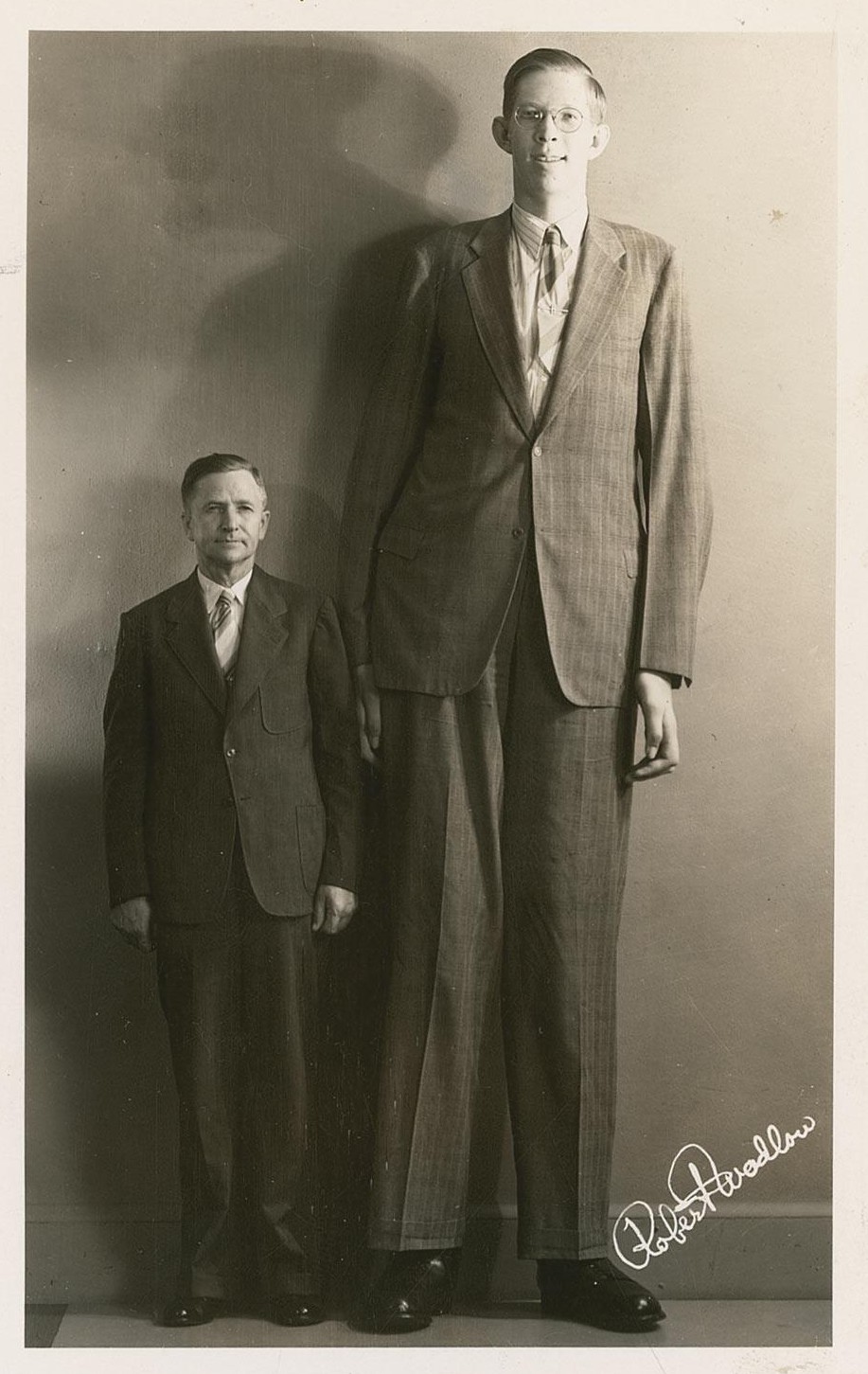 Bildresultat för robert wadlow