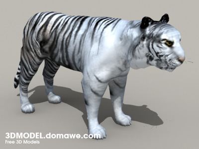 White Tiger 3d