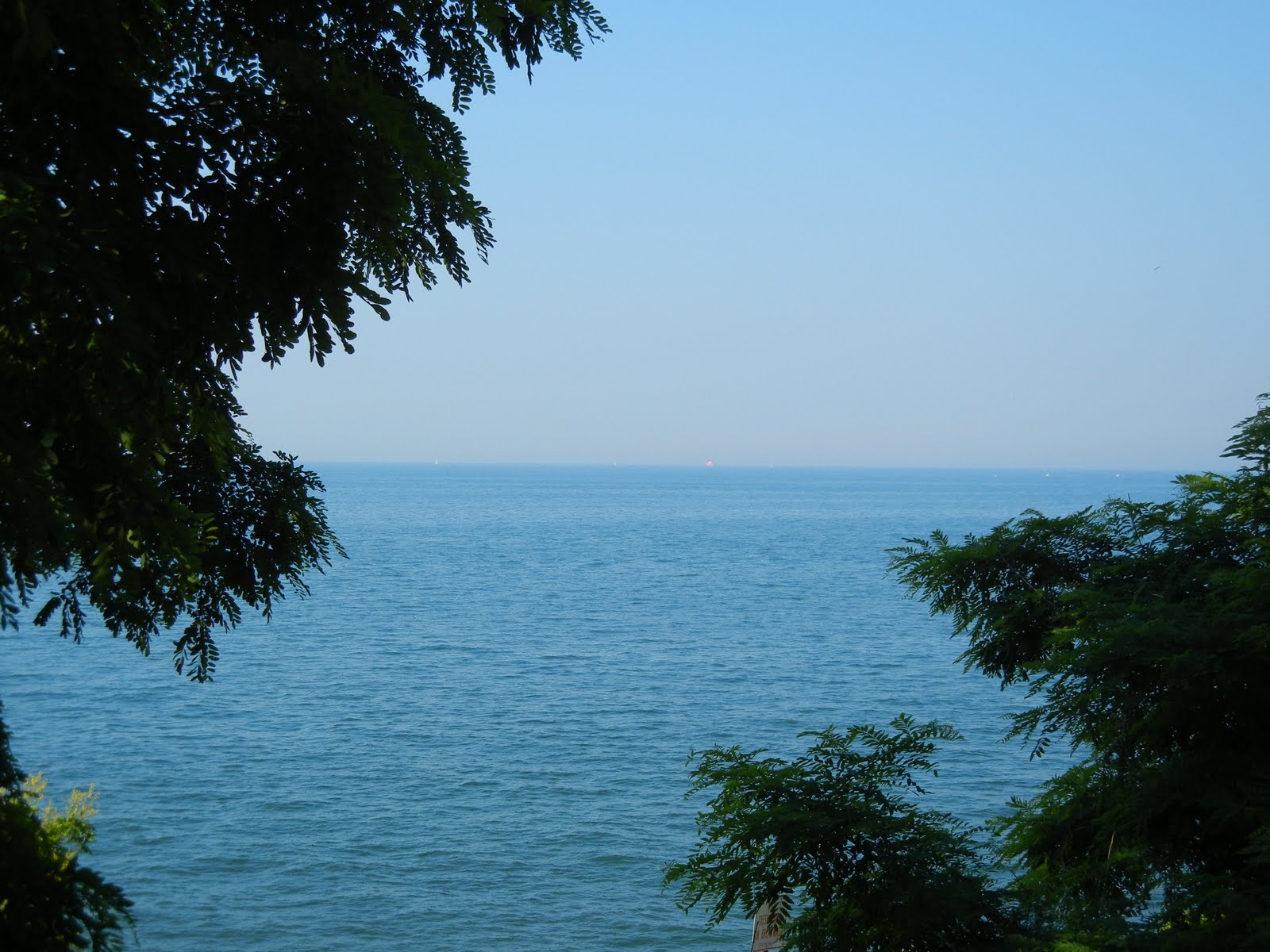 friday fun facts sierra club great lakes blog friday fun facts sierra club great lakes blog