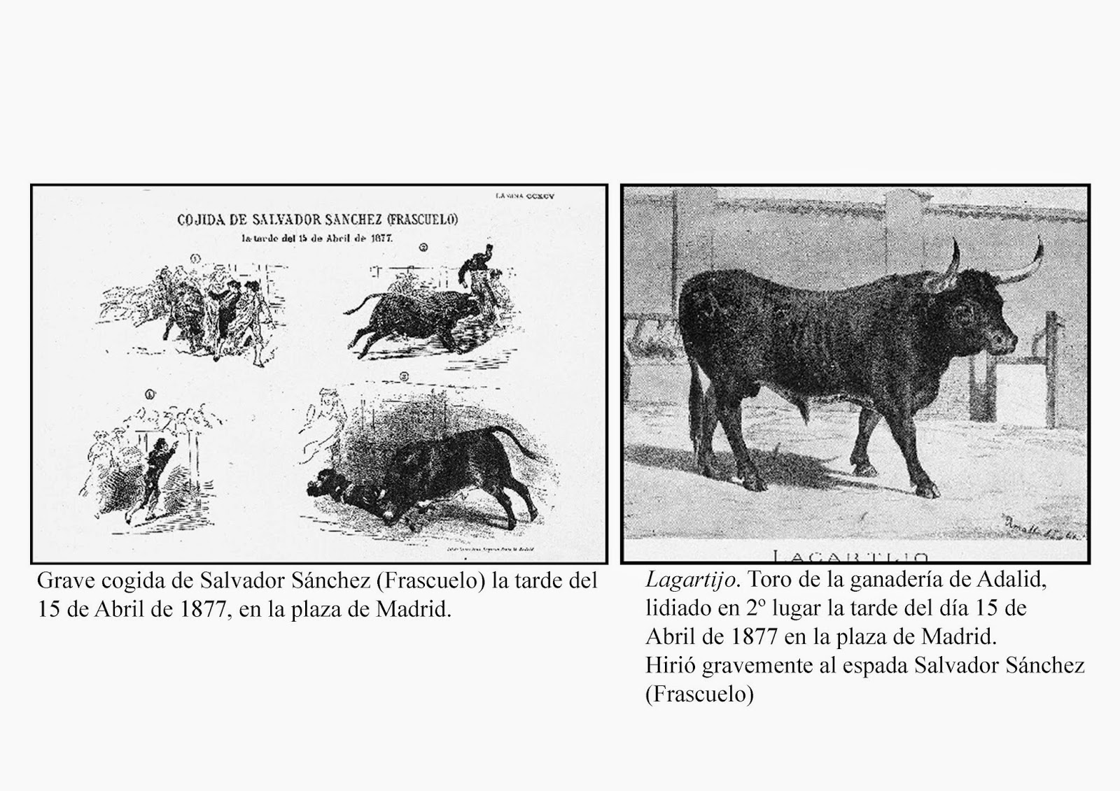 La Fiesta prohibida, por Manuel Hernández. DESPLANTES y