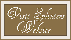 Visit the Website