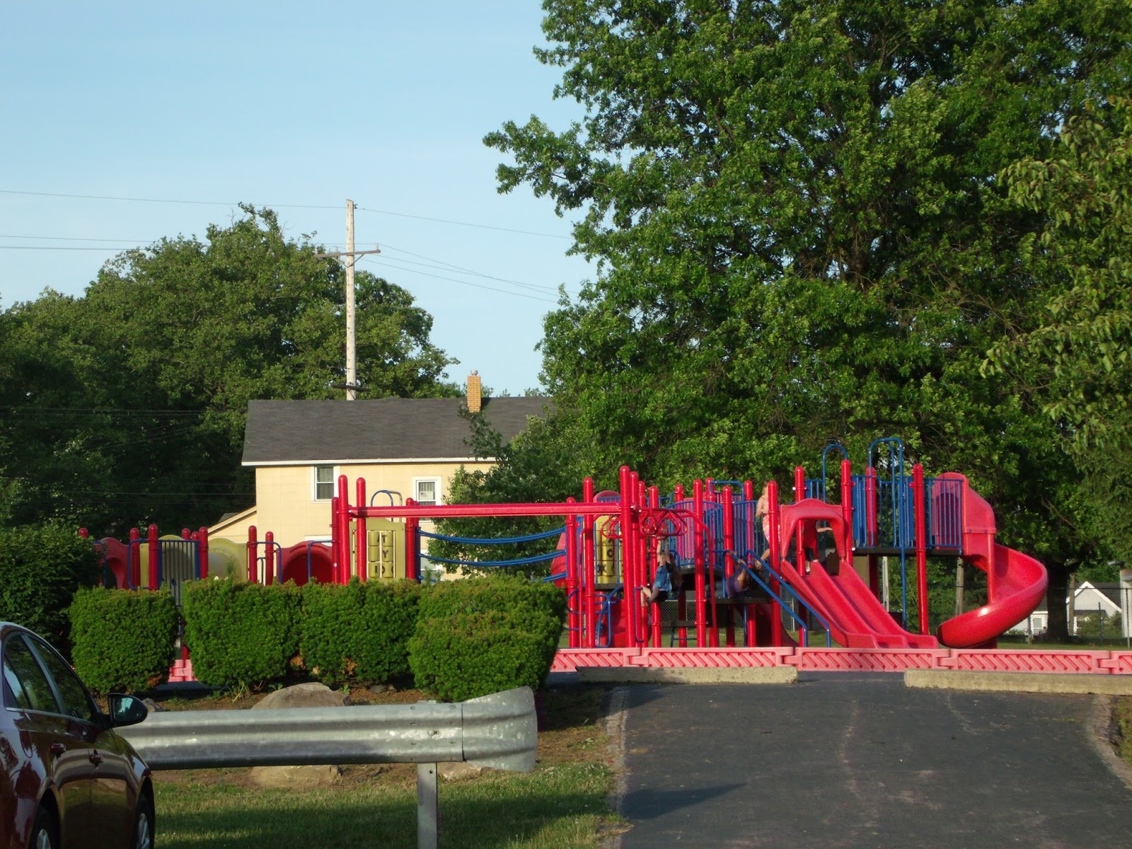 Life in Niles Waddell Park