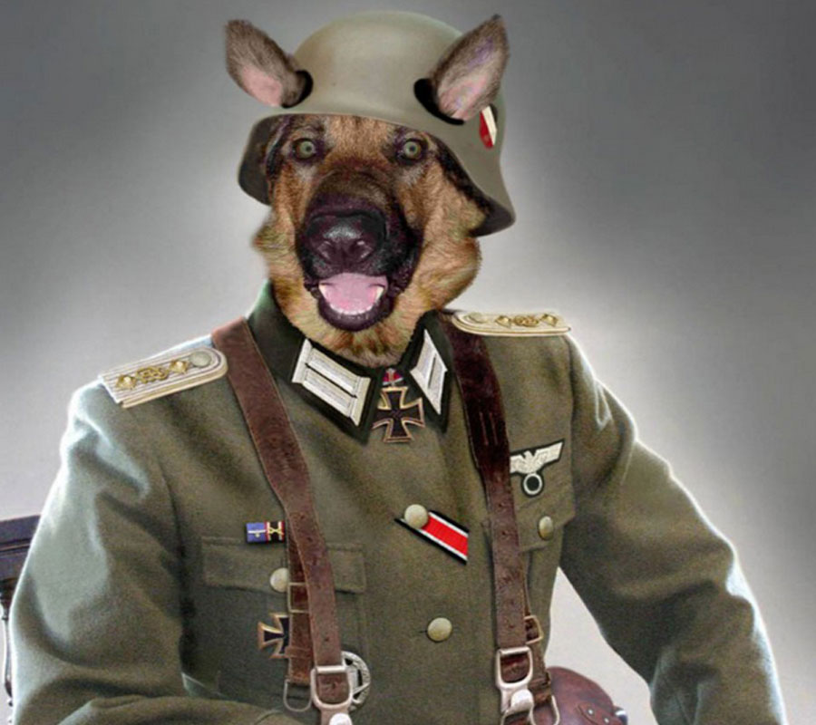 010+-+Nazi+Dog+-+Pastor+Alem%C3%A3o.jpg