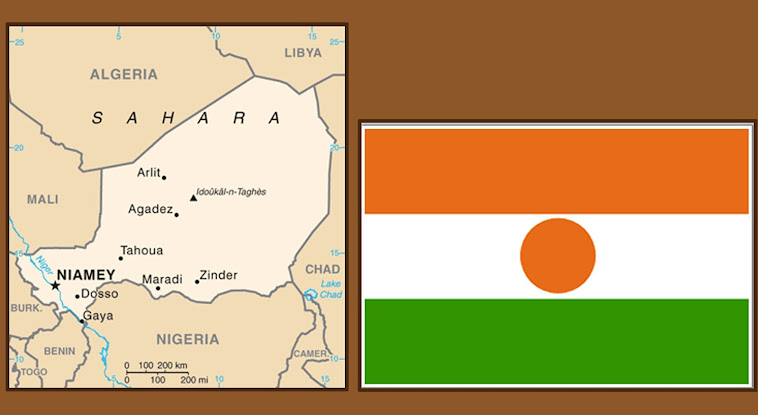 Niger Map and Flag