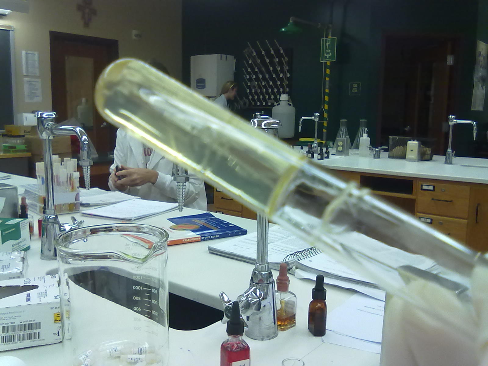 Gram negative bacteria in gelatin hydrolysis test Derdfw