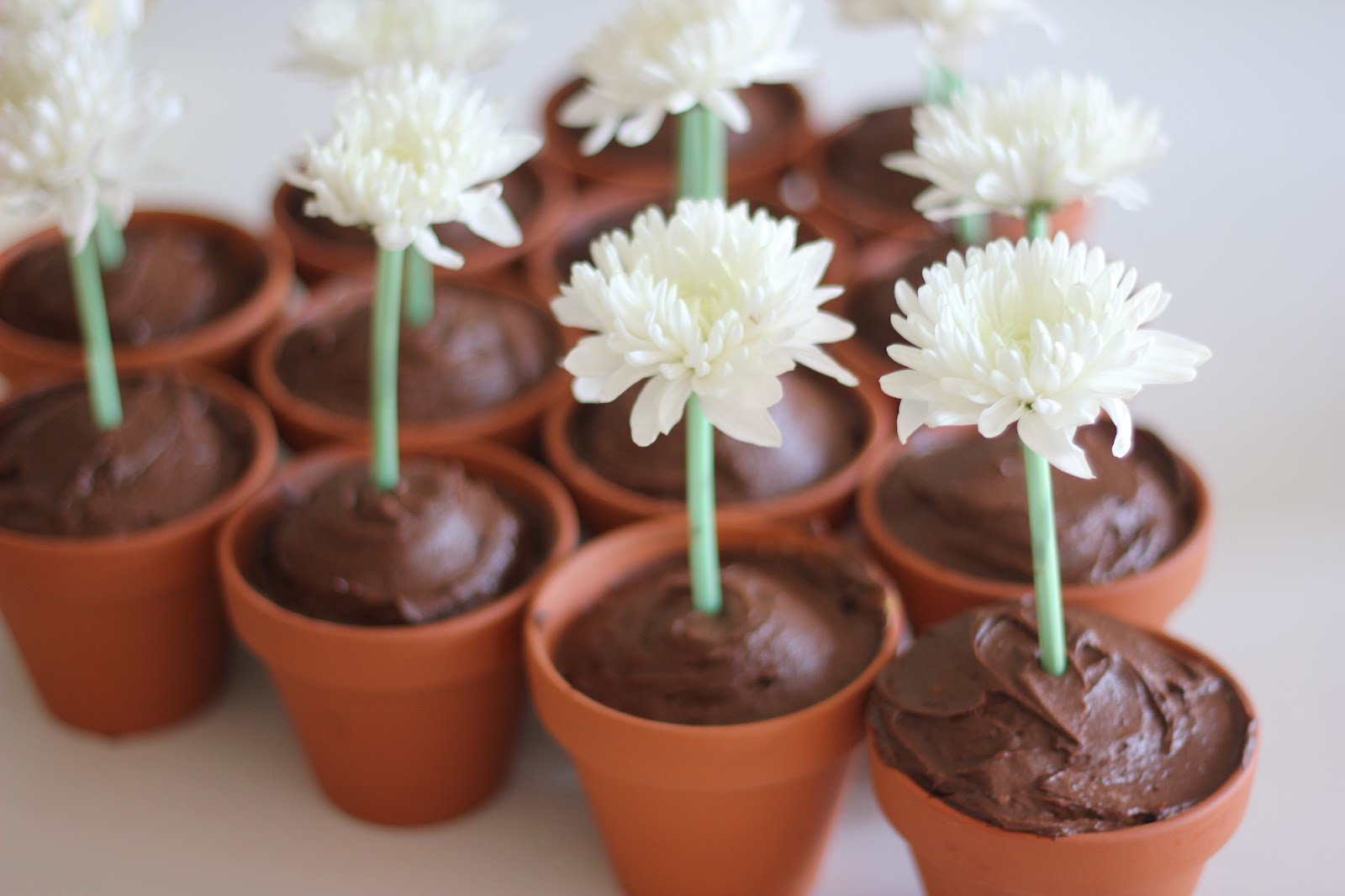 Easy Flower Pot Cupcakes The Imagination Tree