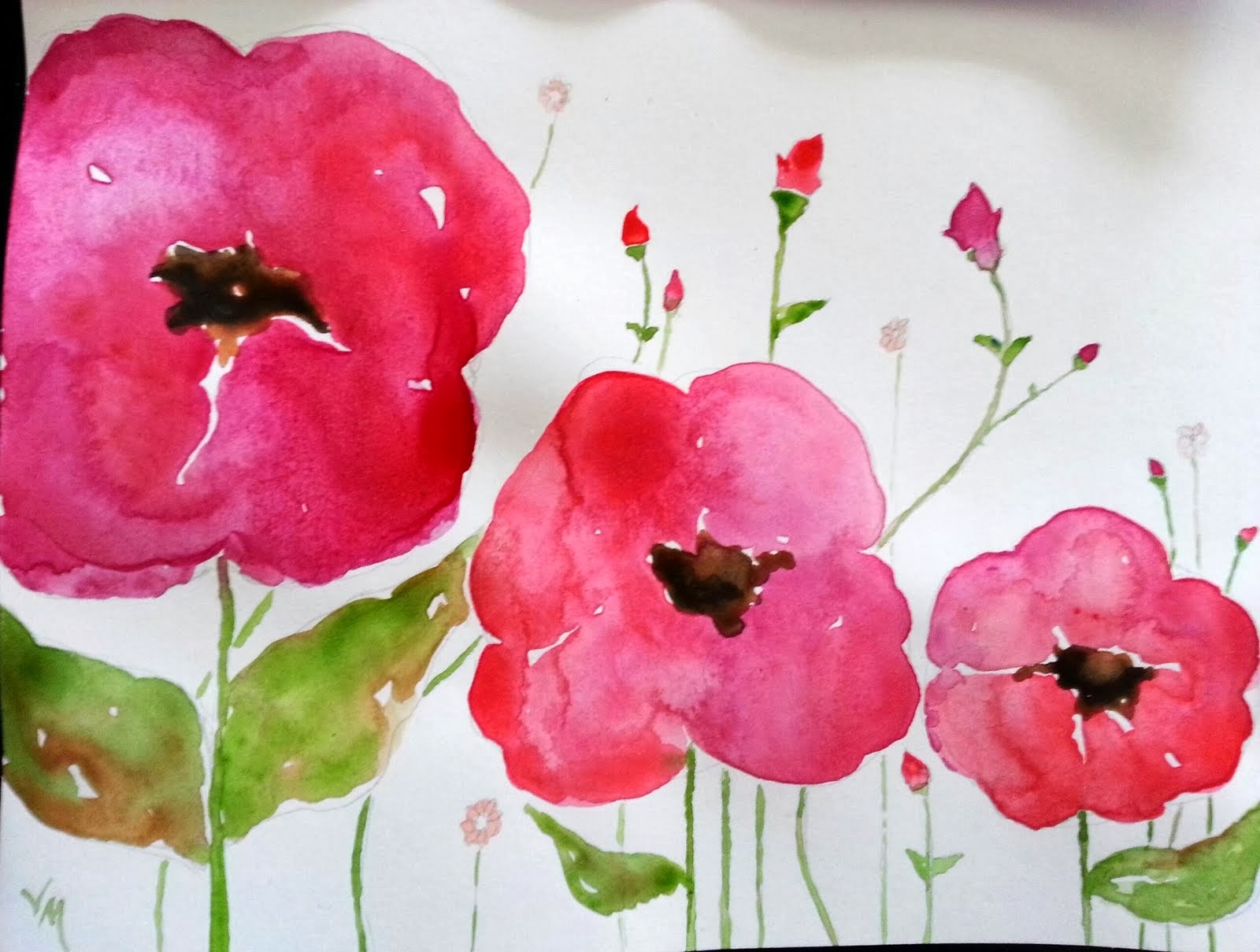 Poppies