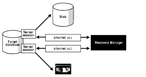 oracle rman backup channel server database concepts channels figure itss allocation backups docs its