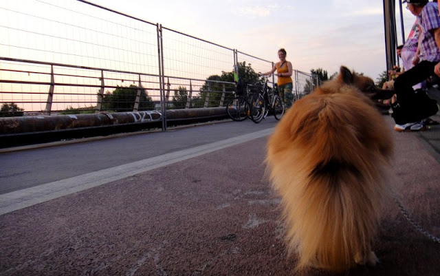 Barney goes to see the Sonnenuntergang at the Modersohnbrücke