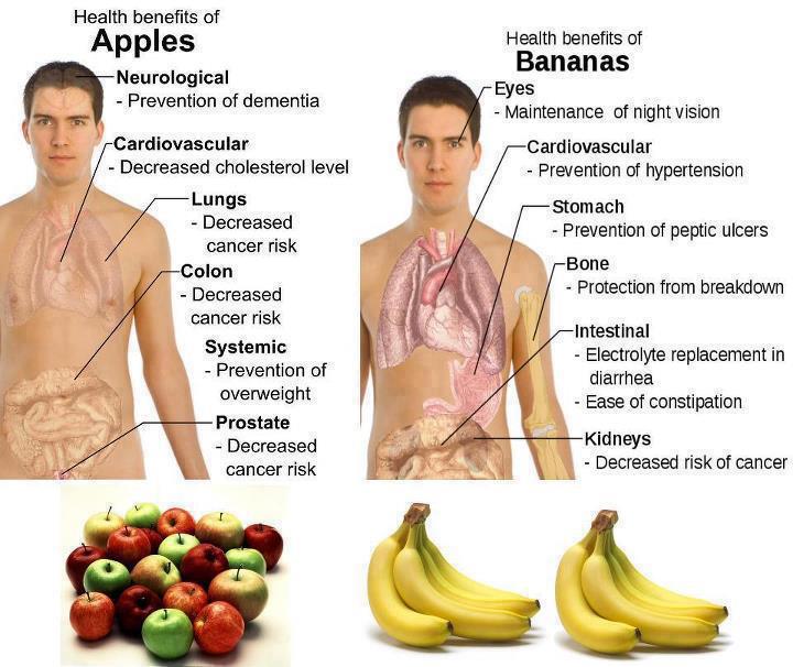 ShowMe Nan Health Benefits of Apples & Bananas