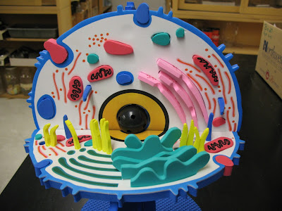 plant cell project non edible