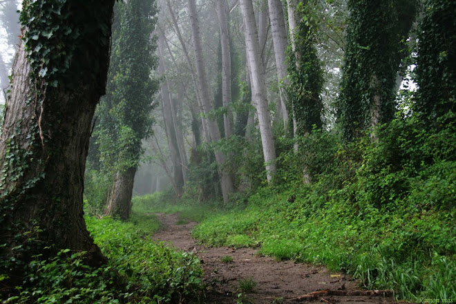 AMBIENT DE TARDOR