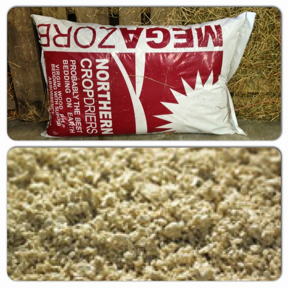 Gee Gee & Me The Best Equine Bedding