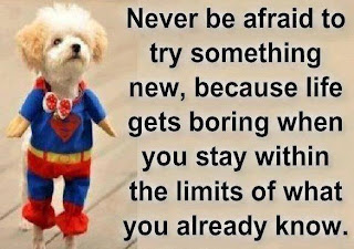 life inspiration quotes: Never be afraid to try something new