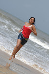 priyamani hot exposing spicy wet dress beach photos stills images