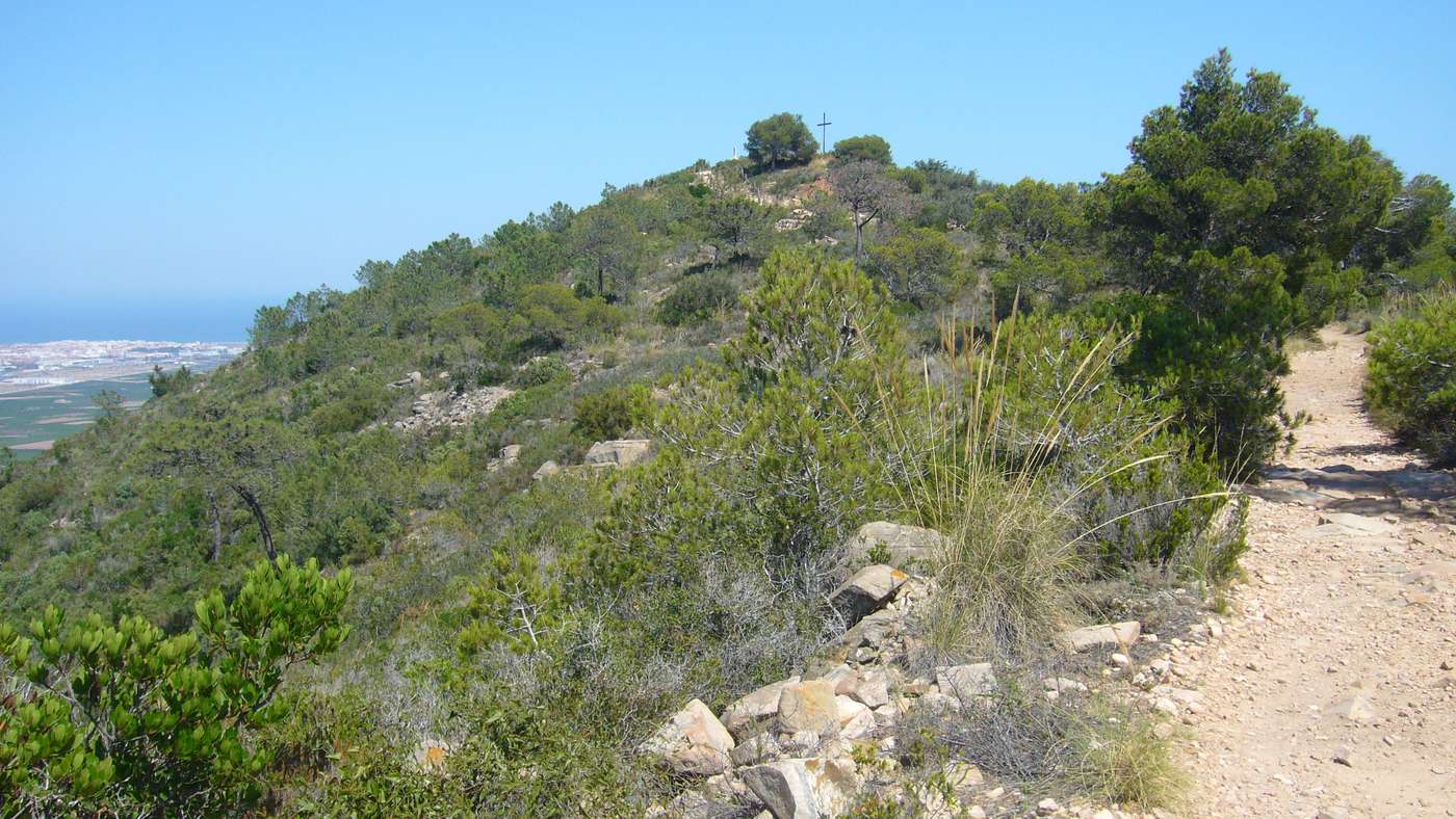 EL MONTE PICAYO AL SUR DE LA CALDERONA