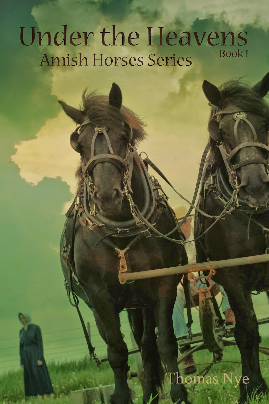 Amish Horses Amish Horses For Sale