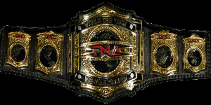 TNA TAG TEAM CHAMPIONS :