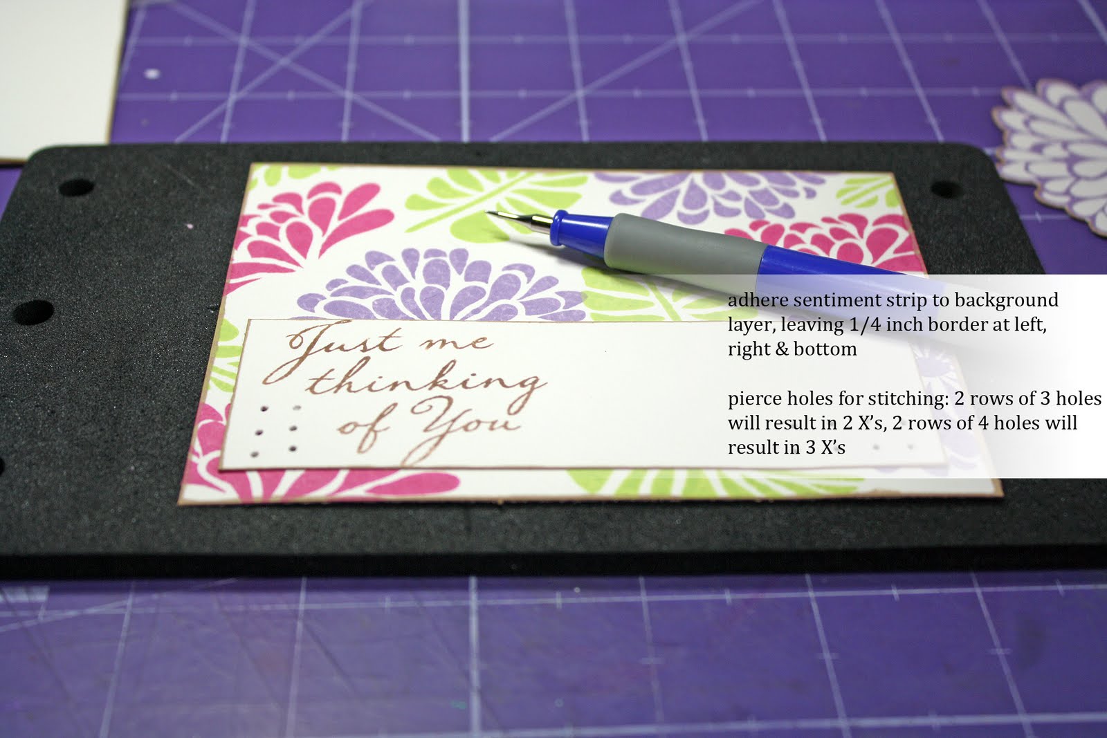 My Pink Mexico Picture Tutorial Colorbox Chalk Inks & Hero Arts Stamps