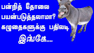 என்னை பாரு