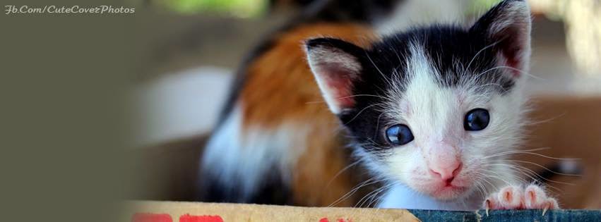 FB Cover Photos 2015 FB Cover Photos 2015