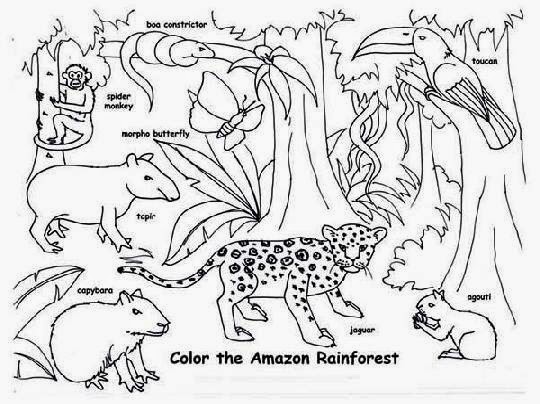 Rainforest Cafe Coloring Pictures 66