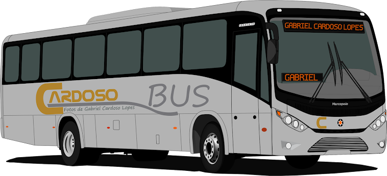 Cardoso Bus